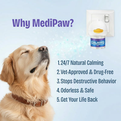 Dog Diffuser + 2x Refills