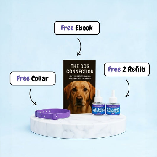 Dog Diffuser + 2x Refills