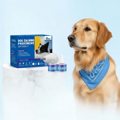 Dog Diffuser + 2x Refills